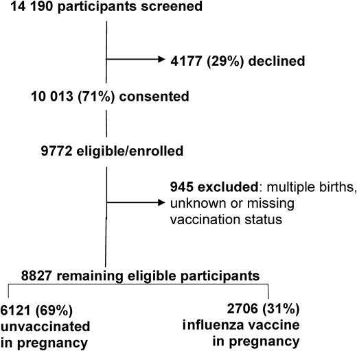 Consort diagram of FluMum study participants by maternal vaccination status, Australia, 2012–2015. Participants were evenly distributed throughout the 6 Australian study sites and the majority of the cohort (69%) had not received inactivated influenza vaccine in pregnancy.