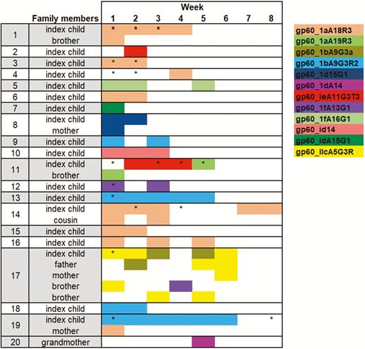 Cryptosporidium genotypes detected in 20 Mirpur households over the 8-week follow-up period. A box shaded in color indicates that individual tested positive for Cryptosporidium in that week and the genotype was identified. An asterisk (*) indicates the subject had Cryptosporidium-positive diarrhea in that week, and an asterisk without color indicates positive Cryptosporidium detection without identification of genotype. In 6 families, household members were already infected with Cryptosporidium at baseline. Cryptosporidium hominis gp60_1aA18R3 was the most abundant genotype. Families 11 and 17 demonstrate transmission of a novel genotype from a brother and father to the index child. In individuals with multiple genotypes detected in 1 sample, the most abundant genotype is represented here.