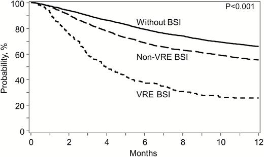 Kaplan-Meier estimates of overall survival for patients with VRE BSI (dotted), non-VRE BSI (dashed), and without BSI (solid) by day 100. Abbreviations: BSI, bloodstream infection; VRE, vancomycin-resistant Enterococcus.