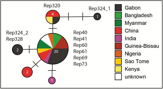 Median Joining network of a 624bp section of the nuclear 18S rDNA gene of Plasmodium ovale curtisi, showing the relationships between haplotypes and information on the geographic origin by country. Numbers in the circles indicate the number of individuals sharing the same haplotype, and bars indicate the number of substitutions between haplotypes. Samples are described in detail in Supplementary Table 1 (Rep324_1: Rep324-SCR and D28; Rep 324_2: Rep324-W12).