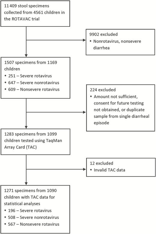 Selection and testing of stool specimens for enteropathogen coinfections from the ROTAVAC trial. Abbreviation: TAC, TaqMan Array Card.
