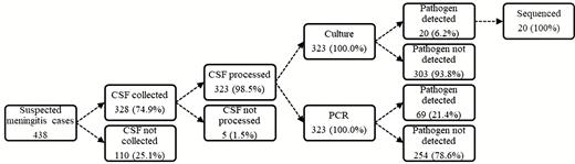Summary of cerebrospinal fluid collection and processing for invasive bacterial disease surveillance in The Gambia (2010–2016). Abbreviations: CSF, cerebrospinal fluid; PCR, polymerase chain reaction.