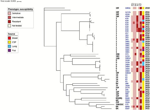 Phylogeny and antibiogram of pneumococcal isolates associated with childhood bacterial meningitis. Isolates cultured from blood (n = 14); lungs (n = 6), and pus (n = 1) are included to contextualize the isolates cultured from cerebrospinal fluid specimens (n = 20). Resistance and intermediate resistance were confirmed by Etest. Abbreviations: CHL, chloramphenicol; CSF, cerebrospinal fluid; CTX, cefotaxime; ERY, erythromycin; PEN, penicillin; SXT, trimethoprim-sulfamethoxazole; TET, tetracycline.