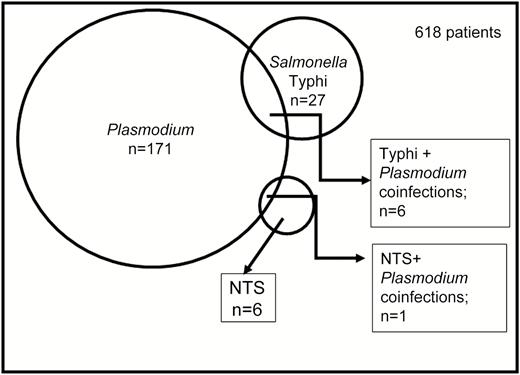 Detection of malaria parasites and Salmonella in blood from 618 patients. Malaria, Salmonella Typhi, and nontyphoidal Salmonella (NTS) were detected in 171, 27, and 6 patients, respectively. Salmonella Typhi/Plasmodium falciparum coinfection was detected in 4 patients and NTS/Plasmodium coinfection in 1 patient.