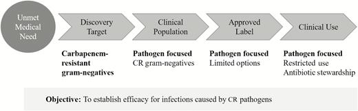 Pathogen-focused clinical development program. This is a theoretical strategic concept and not an approved regulatory pathway in the United States. Abbreviation: CR, carbapenem resistant.