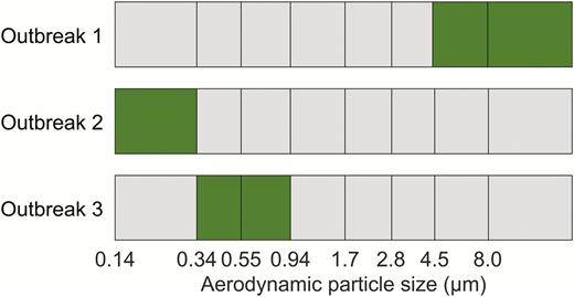 Size ranges of norovirus-positive aerosol samples (dark green) from the cascade impactor during 3 different outbreaks (negative stages are colored gray). During the fourth outbreak, all stages were negative. Note that the width of the stages is on a log scale.
