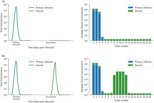 Simulated primary infection and vaccine dynamics for 2 vaccine strains: A, a slightly different strain, differing only 10% from pre-existing immunity (top row), and B, a substantially different strain with no cross-reactivity and a 45% difference from pre-existing immunity. For each row, the left panel shows the viral dynamics of primary infection followed by vaccination, and the right panel shows the overall antibody concentration after primary infection (blue) and after vaccination (green). Viruses that are too close to pre-existing immunity are immediately contained by pre-existing immunity resulting in no stimulation of any antibody clone (A). Once a vaccine escapes pre-existing immunity, it will result in the stimulation of the B cells and antibodies closest to the vaccine strain (B). However, for all cases, antibody clones closest to pre-existing immunity are always boosted in addition to those clones closest to the vaccine, and since they had the highest concentration, before vaccination this results in them still having the highest concentration after vaccination, which is consistent with the Original Antigenic Sin theory.