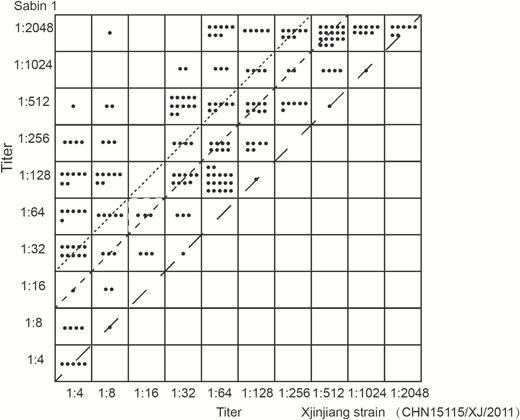 Plots of neutralizing antibody titers against Xinjiang strain and Sabin 1 in all 237 sera from 4 groups of persons. The line with long dashes indicates the same titer between Xinjiang strain and Sabin 1. The line with short dashes indicates a 4-fold titer difference. The dotted line indicates an 8-fold titer difference.