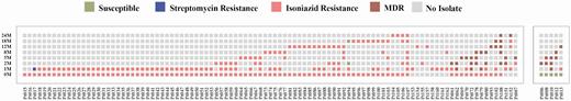 Emergence of multidrug-resistant tuberculosis (MDR-TB) during treatment in patients. Mapping of phenotypic drug susceptibility testing of longitudinal Mycobacterium tuberculosis isolates at different months (0M, 1M, 2M, 5M, 8M, 12M, 18M, and 24M) during treatment or recurrence posttreatment from 101 patients initially with isoniazid-resistant TB and 5 patients with susceptible TB. MDR-TB emergence is grouped at the bottom, confirmed based on phenotypic and genotypic drug susceptibility testing (DST). Color code indicates antibiotic susceptibility and no isolate (time points lacking positive M. tuberculosis cultures from the patients). Ninety-nine patients initially with isoniazid-resistant TB had DST results for >1 isolate, whereas 2 patients had DST for only initial 0M isolate, as later isolates failed to revive during subculture. Abbreviations: M, month; MDR, multidrug-resistant; Pt, patient.
