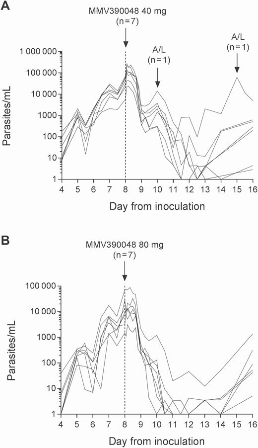 Individual subject parasitemia profiles. Subjects were inoculated intravenously with Plasmodium falciparum–infected erythrocytes on day 0 and were administered a single oral dose of 40-mg (A) or 80-mg (B) MMV390048 on day 8 (indicated by the vertical dashed line). Artemether/lumefantrine (A/L) was administered in response to recrudescence of parasitemia or approximately 25 days post-MMV390048 dosing if recrudescence was not observed. The parasitemia profile for 1 subject in the 80-mg dose cohort who was not dosed with MMV3900048 and was treated instead with A/L is not shown.