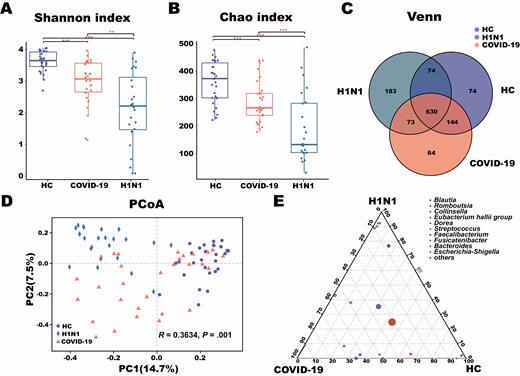Changes in fecal microbial diversity and community structures in patients with coronavirus disease 2019 (COVID-19) (n = 30), patients with H1N1 (n = 24), and a healthy control group (HC) (n = 30). There were significant differences in the α-diversity of the gut microbiota among the 3 groups based on the Shannon index (A) and Chao index (B). Venn diagram showing the overlap of open taxonomic units of the fecal microbiota across the 3 groups (C). The β-diversity results were assessed by principal coordinates analysis (PCoA) of Bray-Curtis distances (D). Each point represents 1 sample. Each color indicates a study group (purple, healthy controls; orange, COVID-19 patients; teal, H1N1 patients). Ternary plot depicting the number of genera (relative abundance > 3%) enriched in the COVID-19, H1N1, and HC groups (E). Each circle represents 1 genus, and the size of the circle reflects relative abundance. P < .05 for all data. **P = .01–.001; ***P < .001.