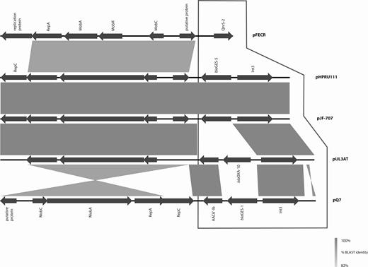 GES-5 encoding plasmids pHPRU111 (GES-5) and pJF-707 were unique in the nucleotide database (National Center for Biotechnology Information, GenBank, last accessed 27 December 2018). All comparators varied in the gene content of the integron and resistance regions (framed area). Backbone regions (nonframed area) varied in percentage identity from pUL3AT (Enterobacter cloacae, effluent, France 2007) and pFECR (uncultured bacterium, wastewater, Canada, circa 2017) and orientation relative to the resistance region of pQ7 (Escherichia coli, human, Switzerland, 1998). Abbreviation: BLAST, Basic Local Alignment Search Tool.
