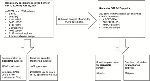 Breakdown of respiratory specimens received during the study period. Between 1 February 2020 and 15 April 2020, a total of 13772 specimens for SARS-CoV-2 testing were received from inpatients in the Kowloon Central Cluster, as well as ambulatory patients and asymptomatic patients from different surveillance programs and clinical settings. Subgroup head-to-head comparison of posterior oropharyngeal saliva with nasopharyngeal specimens were performed on the 229 posterior oropharyngeal saliva when concurrent nasopharyngeal specimen taken on the same day from the same patient. Abbreviations: COVID-19, coronavirus disease 2019; NPA, nasopharyngeal aspirates; NPA/T: nasopharyngeal aspirate pooled with throat swab; NPS, nasopharyngeal swabs; NPS/T: nasopharyngeal swab pooled with throat swab; POPS, posterior oropharyngeal saliva; SARS-CoV-2, severe acute respiratory syndrome coronavirus 2.
