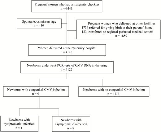Flow diagram for the study participants and urine cytomegalovirus screening of newborns. A total of 4125 pregnant women were enrolled in this study. Abbreviations: CMV, cytomegalovirus; PCR, polymerase chain reaction.
