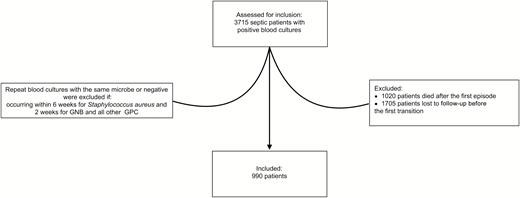 CONSORT diagram for the study cohort of septic patients with bloodstream infections. Abbreviations: CONSORT, Consolidated Standards of Reporting Trials; GNB, gram-negative bacilli; GPC, gram-positive cocci.