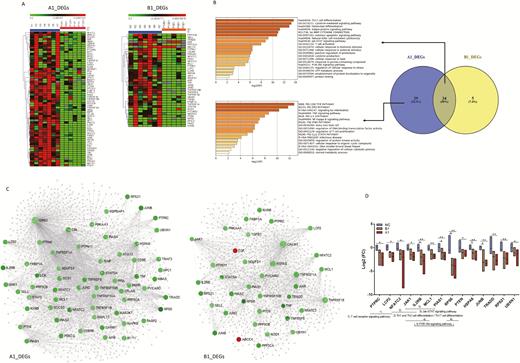 A, DEGs in patients with COVID-19 on admission. The DEG expression profiles of mRNAs are shown by a heatmap, and the colors represent the FC values. B, Venn diagram for DEGs of A1 and B1 groups and their corresponding enrichment analysis using metascape. All statistically enriched terms were identified, and cumulative hypergeometric P values and enrichment factors were calculated. C, PPI network of DEGs of A1 and B1 groups. The PPI network was drawn using NetworkAnalyst platform based on tissue-specific PPI data from the DifferentialNet database. The red circles represent the upregulated genes, the green circles downregulated genes, and gray circles (relatively small circles) indicate not included in DEGs. D, Kruskal-Wallis 1-way ANOVA was used to screen the 14 significantly different genes among the Normal, A1, and B1 groups. Then the multiple comparisons with all pairwise were performed. Statistical significance was set at a 2-sided P < .05 and adjusted P < .05. *P < .05, **P < .01. Abbreviations: ANOVA, analysis of variance; COVID-19, coronavirus disease 2019; DEG, differentially expressed gene; FC, fold-change; PPI, protein–protein interaction; Th, T-helper.