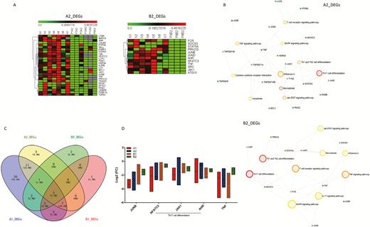 A, DEGs in patients with COVID-19 after initial treatment. The DEG expression profiles of mRNAs are shown by a heatmap, and the colors represent the FC values. B, All DEGs from groups A2 and B2 were conducted by using KEGG enrichment analysis, respectively. Large hollow circles indicate the pathway name and small solid circles represent the gene. C, Venn diagram for DEGs of the A1, B1, A2, and B2 groups, and 5 DEGs were common to the 4 groups. D, FC of JUNB, NFATC3, JAK1, AHR, and TNF relative to the NC group, respectively, were compared within the 4 groups using Kruskal-Wallis test (all P > .05). Statistical significance was set at a 2-sided P value < .05. Abbreviations: COVID-19, coronavirus disease 2019; DEG, differentially expressed gene; FC, fold-change; Th, T-helper.