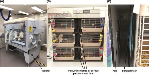 Noncontact transmission of SARS-CoV-2 in the Syrian hamster model. A, The closed systems housing the hamsters were placed in the isolator in a Biosafety Level-3 laboratory. B, Enlarged view of the closed systems used in the noncontact transmission studies. Each system contained 2 cages (left and right) separated by a polyvinyl chloride air porous partition. An electrically powered fan was installed at the polyvinyl chloride air porous partition to ensure unidirectional airflow from the cage housing the challenged index hamster to the cage housing the naive hamsters. C, Surgical mask partition with the blue external surface facing the challenged hamsters in experiment 3. Abbreviation: SARS-CoV-2, severe acute respiratory syndrome coronavirus 2.