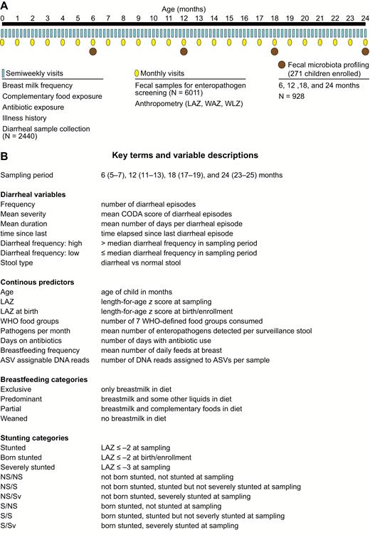 Study design. A, Diagram of the timeline of data collection at semiweekly visits, as well and sample collection. B, Key terms and variables are described. Abbreviations: ASV, amplicon sequence variant; CODA, community diarrheal assessment tool; NS/NS, not born stunted, not stunted at the time of sampling; LAZ, length-for-age z-score; S/Sv, stunted and severely stunted at sampling; WAZ, weight-for-age z-score; WHO, World Health Organization; WLZ, weight-for-length z-score.