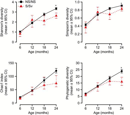 Bacterial diversity and richness across age by stunting category. Line graphs showing mean values for (A) Shannon's diversity, (B) Simpson's diversity, (C) the Chao1 index, and (D) phylogenetic diversity in each sampling period (6, 12, 18, and 24 months) for children born NS/NS vs children born S/Sv. Abbreviations: CI, confidence interval; NS/NS, not born stunted, not stunted at the time of sampling; S/Sv, stunted and severely stunted at sampling.