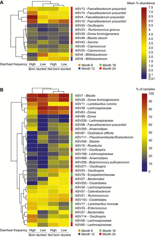 Associations between amplicon sequence variants (ASVs), diarrheal frequency, and stunting at birth. A, Heat map showing the mean percent abundances of ASVs in the microbiota of children at the indicated sampling time points (6, 12, 18, and 24 months) by stunting category at birth and diarrheal incidence (low = diarrheal episodes less than or equal to the median frequency for the cohort; high = more than the median frequency of diarrheal episodes). Only ASVs with a mean percent relative abundance of ≥0.5% in at least 1 category are shown. B, Data from panel A expressed as mean frequencies of occurrence of ASVs. ASVs with a mean frequency of ≥25% in a group are shown. All ASVs depicted had significant Poisson models or logistic regressions after Benjamini-Hochberg corrections and significant likelihood ratio tests or F tests for stunting, diarrheal frequency, or their interaction.