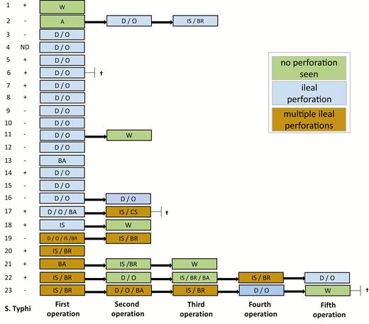 Confirmation of Salmonella Typhi, relating to intraoperative findings, procedures, and postoperative deaths. †Patient died. Abbreviations: A, adhesiolysis; BA, bowel resection and anastomosis; CS, colostomy; D/O, debridement/oversew; IS, ileostomy; IS/BR, ileostomy with bowel resection; ND, not diagnosed; W, washout; +, confirmed by blood culture and/or tissue polymerase chain reaction; −, not confirmed.
