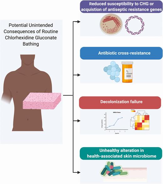 Potential unintended consequences of routine CHG bathing. Despite the proven benefits of CHG use, there remains concerns and unanswered questions on the potential for unintended microbial consequences of routine CHG bathing. These include 1) increase in MIC and/or AMR genes 2) emergence of antibiotic cross-resistance 3) decolonization failure 4) alteration of skin microbiome. To date there is minimal evidence for any of these adverse events. Figure created with Biorender.com. Abbreviations: CHG, chlorhexidine gluconate, MRSA, methicillin-resistant, Staphylococcus aureus.