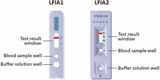Design of point-of-care cassette-based LFIAs used in the study. Abbreviations: C, control; COVID-19, coronavirus disease 2019; G, IgG antibodies; LFIAs, lateral flow immunoassays; M, IgM antibodies; S, sample; T, test.
