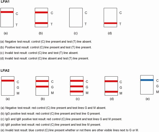Possible antibody test outcomes (appearance on test result window). Abbreviation: LFIAs, lateral flow immunoassays.