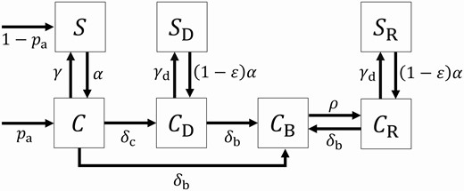 Patient states and state transition rates Squares depict possible states with respect to CRE in the compartmental model. Arrows between squares depict possible state transitions during the LTACH stay and are labeled with rate parameters; arrows into squares from outside point to possible states at admission and are labeled with probabilities of each admission state. Patients in any state can be removed via death or live discharge (not depicted)—see Supplementary material for full mathematical specification.