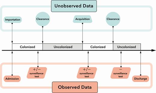 The underlying transmission model showing the possible transitions for patient colonization and the relationship between the unobserved and observed data in the model.