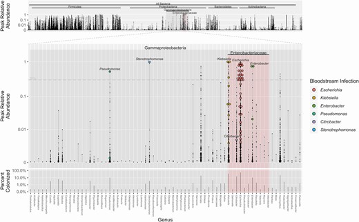 Peak relative abundances and concomitant bloodstream infection, by genus level. The maximum relative abundance (small black dot) achieved for each patient is shown for each genus. The primary middle plot shows genera within Gammaproteobacteria. In patients who developed a corresponding bloodstream infection with that strain, the peak abundance is represented by a colored circle. The top plot shows the peak abundances for all detectable genera. The bottom plot shows percentage of patients who had detectable colonization for each bacterial genus. Zero abundances are not shown. Forty-six of 54 bloodstream infections are shown here; for 8 infections, a corresponding microbiome signature was not found.