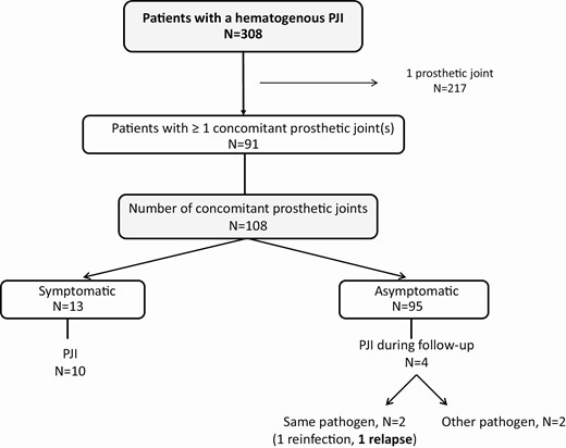 Flow chart for inclusion. Abbreviation: PJI, periprosthetic joint infection.