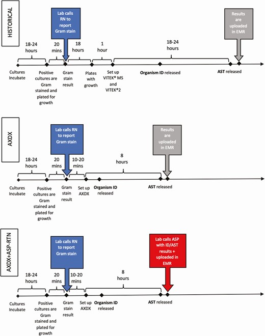 Microbiology workflow during the historical, Accelerate Pheno blood culture detection system (AXDX), and AXDX + real-time notification arms. Active Gram stain result notifications are highlighted on left in dark gray. Passive result notification by uploading data to the electronic medical record are highlighted in light gray. Active final antimicrobial susceptibility testing result notification is highlighted on bottom right in dark gray. These are theoretical times for illustration and not measured values. Abbreviations: ASP, antimicrobial stewardship program; AST, antimicrobial susceptibility testing; AXDX, Accelerate Pheno blood culture detection system; EMR, electronic medical record; ID, identification; RN, registered nurse; RTN, real-time notification.