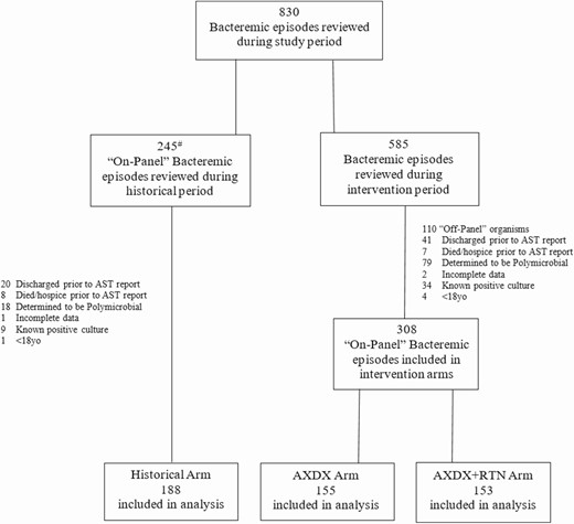 Flowchart of bacteremic episodes during study period. aCultures during historical period with either “off-panel” organisms or obvious polymicrobial growth were not reviewed for inclusion. Abbreviations: AST, antimicrobial susceptibility testing; AXDX, Accelerate Pheno blood culture detection system; RTN, real-time notification.