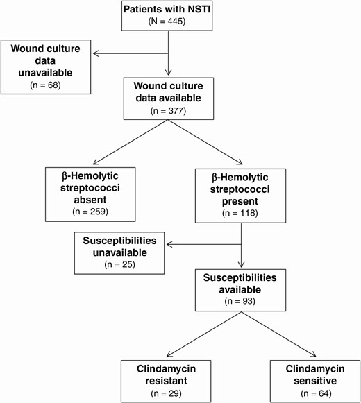 Flowchart outlining patient culture characteristics. Abbreviation: NSTI, necrotizing soft-tissue infection.