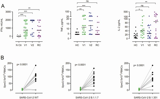 Severe acute respiratory syndrome coronavirus 2 (SARS-CoV-2) S protein–induced cytokine release after a single and double BNT162b2 dose. A, Interferon gamma (IFN-γ) release assay results obtained from peripheral blood mononuclear cells (PBMCs) of single (V1, green dots/circles) or twice (V2, blue dots) vaccinated individuals after restimulation with SARS-CoV-2 S protein for 24 hours and assessment of IFN-γ in the supernatant by enzyme-linked immunosorbent assay or by multiplex cytokine/chemokine quantification assay for tumor necrosis factor alpha (TNF-α) and interleukin 2 (IL-2). Green circles indicate individuals with ≤1 spot per well (SPW)/2.5 × 105 PBMCs in the enzyme-linked immunospot (EliSpot) assay after the first vaccination. All twice-vaccinated individuals analyzed here had >1 SPW/2.5 × 105 PBMCs. Negative controls (N Ctr, gray dots) are from the same individuals as after the second vaccination (blue dots) but from PBMCs collected in 2019 before vaccination. Purple dots represent results from PBMCs of convalescent patients with mild to severe COVID-19 (RC) at a mean of 10.1 weeks (range, 7–14 weeks) after symptom onset. For additional cytokine/chemokine results, see Supplementary Figure 4. *P < .05, **P < .01, ***P < .001, calculated by Kruskal-Wallis test; ns, not significant. B, PBMCs from individuals with low or zero SPW after a single BNT162b2 dose (n = 11) or healthy controls (HC) without anti–SARS-CoV-2 S immunoglobulin G (IgG) (both green dots) were in vitro–stimulated with overlapping peptide pools from SARS-CoV-2 S wild-type (WT) protein for 7 days and again assessed in the IFN-γ EliSpot with S protein–derived peptide pools from SARS-CoV-2 WT or variants B.1.1.7 and B.1.351. The black dots depict SPW of in vitro–stimulated cells of the vaccinated individuals; the gray dots depict SPW of controls. Groups were compared by 2-tailed paired Student’s t test.