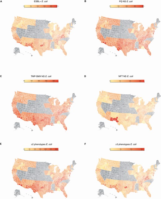 Regional distribution of E. coli AMR phenotypes in the US, 2019. (A) ESBL+; (B) FQ NS; (C) TMP-SMX NS; (D) NFT NS; (E) ≥2 nonsusceptible phenotypes; (F) ≥3 nonsusceptible phenotypes. For a county that did not have any isolates tested, the susceptibility results of the nearest county either within or across state lines were populated. Counties with insufficient isolates tested (<1% and <30 isolates tested) or states with no isolate results are marked in gray. Abbreviations: AMR, antimicrobial resistance; E. coli, Escherichia coli; ESBL+, extended-spectrum β-lactamase-producing; FQ, fluoroquinolone; NFT, nitrofurantoin; NS, nonsusceptible; TMP-SMX, trimethoprim-sulfamethoxazole.