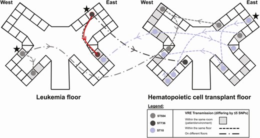 Transmission networks of VRE isolates differing by ≤5 SNPs in their core genomes on stem cell transplant and leukemia floors. Potential index cases of VRE are marked with a star. Possible daptomycin-resistant VRE strain transmission between rooms is highlighted in red. Transmission time period range from 3 to 90 days with an average of 39 days. Abbreviations: SNP, single nucleotide polymorphism; VRE, vancomycin-resistant enterococci.