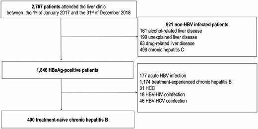Study flow chart. Abbreviations: HBV, hepatitis B virus; HCC, hepatocellular cancer; HCV, hepatitis C virus; HIV, human immunodeficiency virus; HBsAg, hepatitis B s antigen.