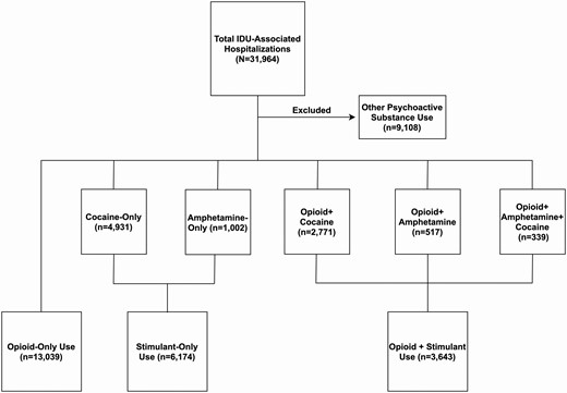 Flow diagram of IDU-associated infections in Florida. Abbreviation: IDU, injection drug use.