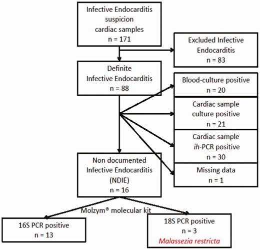 Flow chart for inclusion of cardiac samples explanted in cardiac surgery department of the University Hospital of Lyon, France, between 1 January 2011 and 31 December 2015. Excluded IE cases (n = 83) were negative on culture, histopathological examination and in-house PCR. Abbreviation: ih-PCR, in-house valvular polymerase chain reaction.
