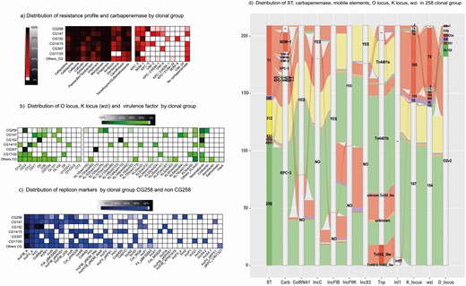 Clonal group heat maps, virulence factors, resistance profile, carbapenemases, replicons, and alluvial of the CG258. Heatmap analyzes different clonal groups (each row of the heatmap represents a clonal group). a) Heatmap displaying the distribution of antimicrobials and the mechanism of resistance to carbapenems (y-axis) in the clonal group. b) Heatmap displaying the distribution of O locus, K locus (wzi), and virulence factors (y-axis) found in the clonal group. c) Heatmap displaying the distribution of the replicon type (y-axis) found in the clonal group. d) Alluvial diagram showing the “flow” of the presence of the most important transposable elements associated with carbapenemase and ST of CG258. Abbreviation: ST, sequence type.