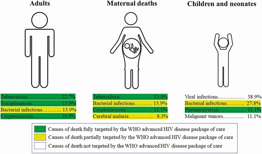 Major causes of death in adults, maternal deaths, and children and neonates. The World Health Organization (WHO) package of care for advanced human immunodeficiency virus (HIV) disease is a package of interventions including tuberculosis and cryptococcosis screening, treatment and/or prophylaxis for major opportunistic infections (cotrimoxazole, tuberculosis preventive treatment, fluconazole preemptive therapy), rapid antiretroviral therapy initiation and intensified adherence support interventions recommended to everyone presenting with advanced HIV disease (strong recommendation, moderate-quality evidence).