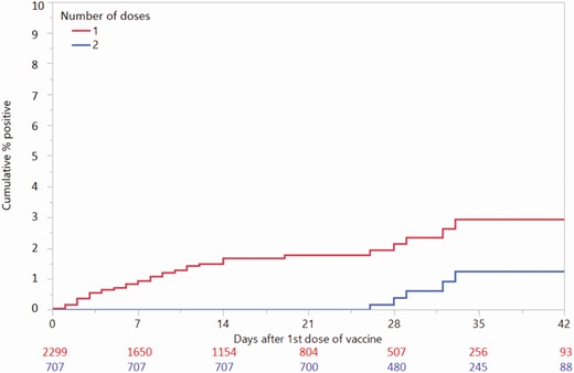 Survival analysis by time-to-preprocedural positive COVID-19 test after receiving first dose of vaccination, by total doses received. A person who received their first dose of vaccine on 1 January 2021, their second dose on 24 January 2021, and then had a positive molecular COVID-19 test on 26 January 2021 would appear on both the red (1-dose) and blue (2-dose) lines with the event on day 25 on the x-axis (event occurred 25 days after first dose). Abbreviation: COVID-19, coronavirus disease 2019.