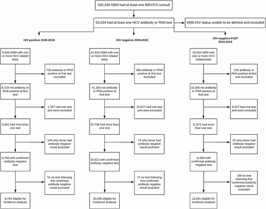 Gay, bisexual, and other men who have sex with men (GBM) included in hepatitis C virus incidence analyses. GBM can be included in >1 analysis depending on their testing history. Abbreviations: BBV, blood-borne virus; GBM, gay, bisexual, and other men who have sex with men; HCV, hepatitis C virus; HIV, human immunodeficiency virus; STI, sexually transmitted infection.