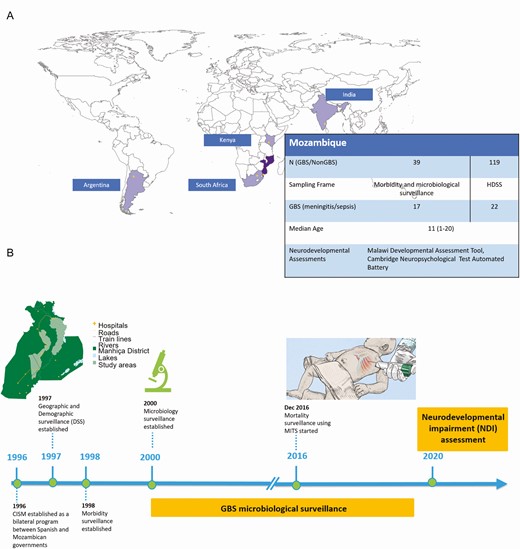 A, Description of Mozambique study site. B, Chronogram of different surveillance platforms established by Manhiça Health Research Center at the Mozambique study site, with special attention to group B Streptococcus surveillance. Abbreviations: CISM, Manhiça Health Research Center; DSS, Demographic Surveillance System; GBS, group B Streptococcus; MITS, minimally invasive tissue sampling.