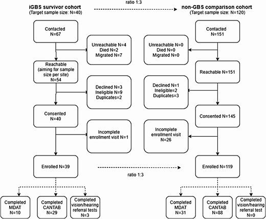 Participant flow diagram. Of 67 invasive group B Streptococcus survivors contacted, 39 consented for participation and completed the assessment. Of 151 matched unexposed children contacted for participation, 121 children consented and completed neurodevelopmental, vision, and hearing assessments. Abbreviations: CANTAB, Cambridge Neuropsychological Test Automated Battery; GBS, group B Streptococcus; iGBS, invasive group B Streptococcus; MDAT, Malawi Developmental Assessment Tool.