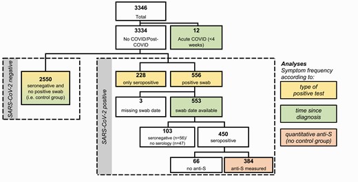Study flow showing the total population and the subpopulations analyzed for specific analyses. Abbreviations: anti-S, anti-spike protein antibodies; COVID, coronavirus disease; SARS-CoV-2, severe acute respiratory syndrome coronavirus 2.