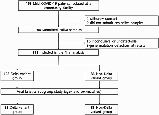 Flowchart of study participants. Abbreviation: COVID-19, coronavirus disease 2019.
